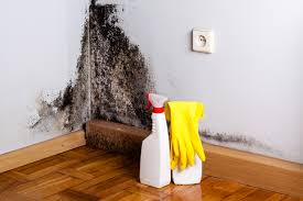 Best Emergency Mold Remediation in West Milwaukee, WI